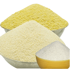 Gari