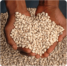 Black Eye Beans 500g image