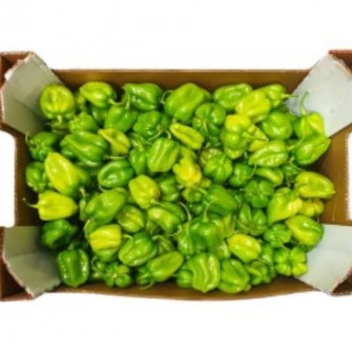 Hot Pepper Pili-pili Green Habanero 200g image