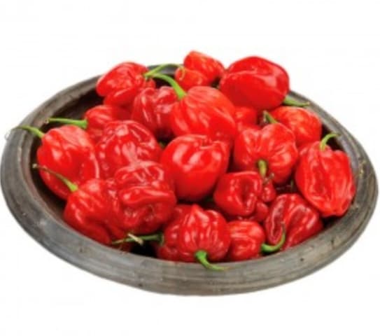 Pepper Hot Pili-pili Red Uganda 200g image