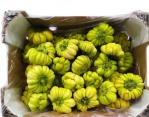 Diakhatou/Jaxatu African Aubergine 200g image