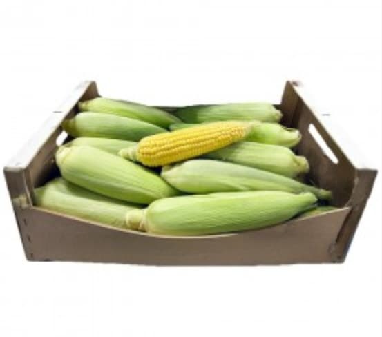 Maize/Corn Fresh image